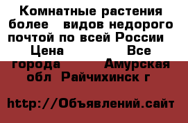 Комнатные растения более200видов недорого почтой по всей России › Цена ­ 100-500 - Все города  »    . Амурская обл.,Райчихинск г.